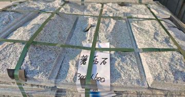 衡水芝麻白蘑菇石，自然面